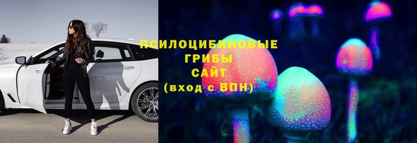 прущие крисы Абинск