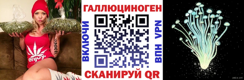 Псилоцибиновые грибы Cubensis  Альметьевск 