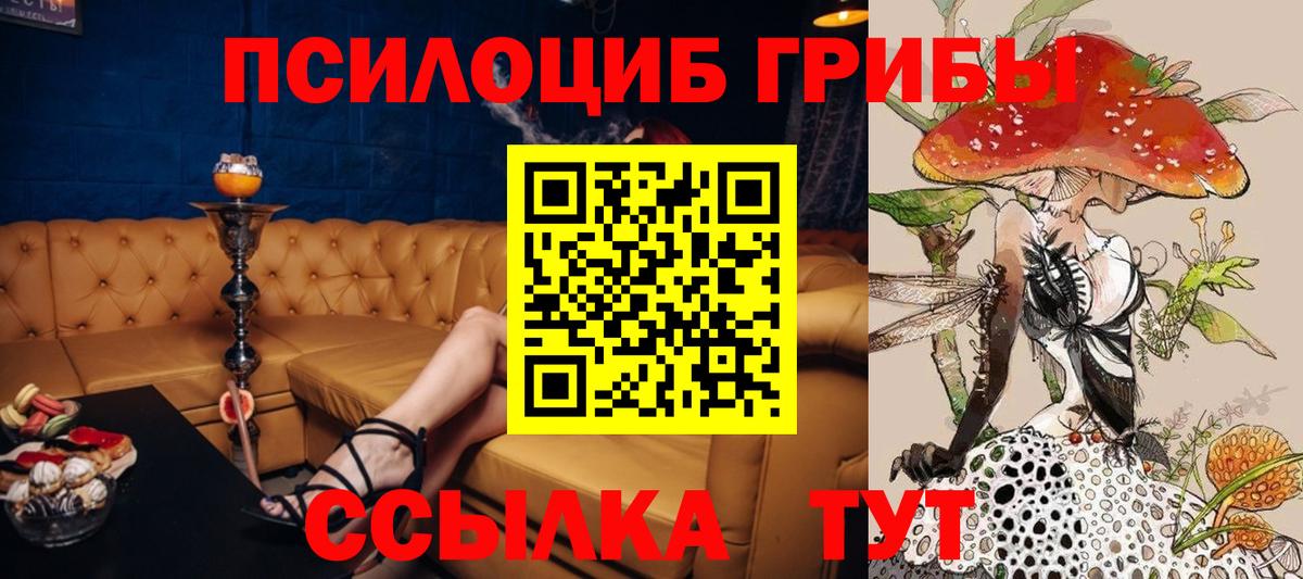 Альметьевск  магазин продажи   Псилоцибиновые грибы Psilocybe  Вход с VPN  Галлюциногенные грибы мицелий 